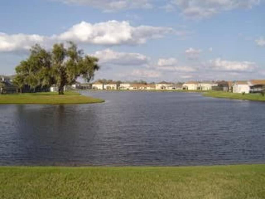 Gone 2 Florida Vacation Homes Four Corners Phòng bức ảnh
